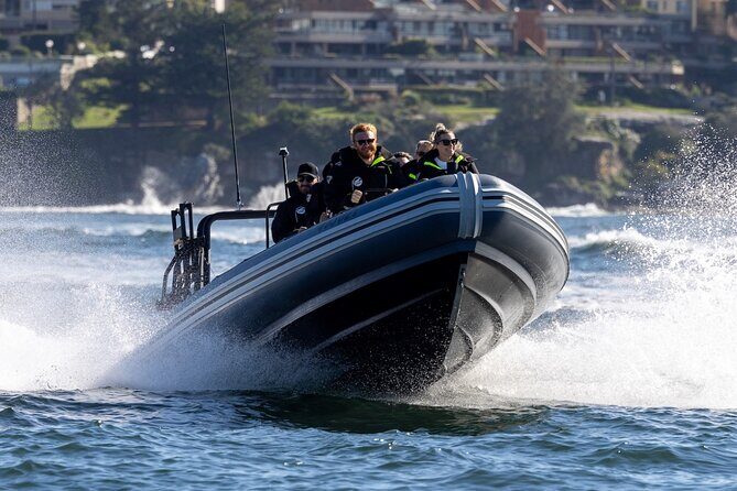 Sydney Whale Watching on Small RIB - The 2-hour flow: what your time actually looks like