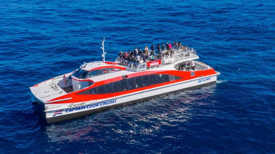 Sydney: Whale Watching & Wildlife Cruise - Weather, Sea Motion, and Packing Like a Local