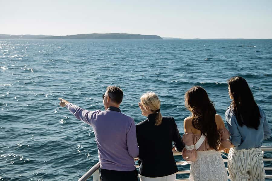 Sydney: Whale Watching & Wildlife Cruise - Cruising the Harbour Entrance: How the Whale Hunt Actually Works