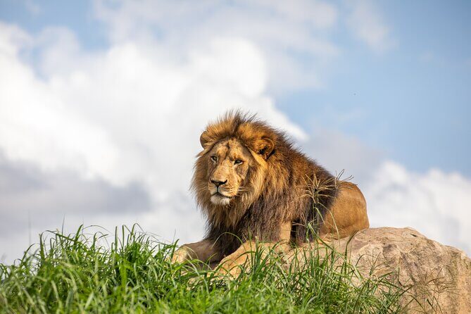 Sydney Zoo General Entry Admission Ticket - Key highlights worth targeting