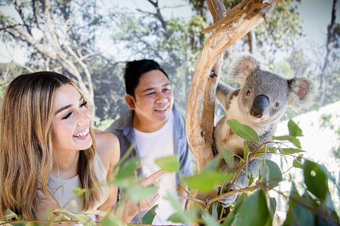 Sydney Zoo General Entry Admission Ticket - Ticket price and what you really get at Sydney Zoo