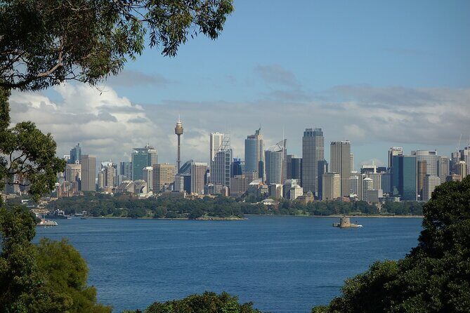 Sydney's Little Italy Food Tour - Your Food Route in Five Dock: Cafe, Butcher, Gelato, Deli and Patisserie