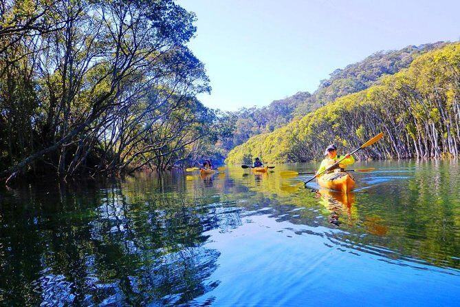 Sydney's Middle Harbour Sea Kayaking Eco Tour (Fully Guided) - Getting to Smith’s Boat Shed in Mosman (and why the 8:30am start matters)