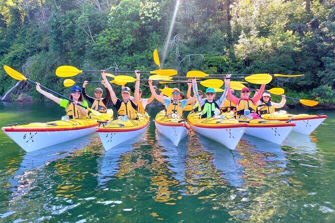 Sydney's Middle Harbour Sea Kayaking Eco Tour (Fully Guided) - The beachside morning tea break: why the stop feels like part of the tour, not a pause