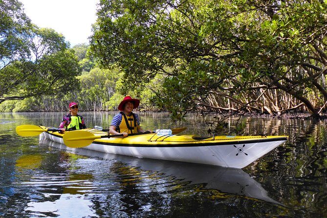 Sydney's Middle Harbour Sea Kayaking Eco Tour (Fully Guided) - Weather and sea conditions: how to plan so the day feels good