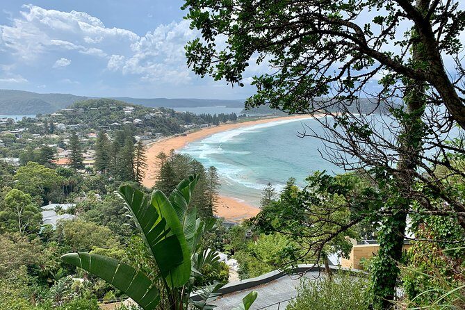 Sydney's Northern Beaches & Ku-ring-gai National Park Small Tour departing Manly - Stop-by-stop: coast views from Spit Bridge to Freshwater Beach