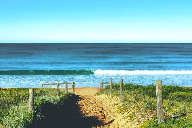 Sydney's Northern Beaches & Ku-ring-gai National Park Small Tour departing Manly - Weather, timing, and what to pack for this coastal day
