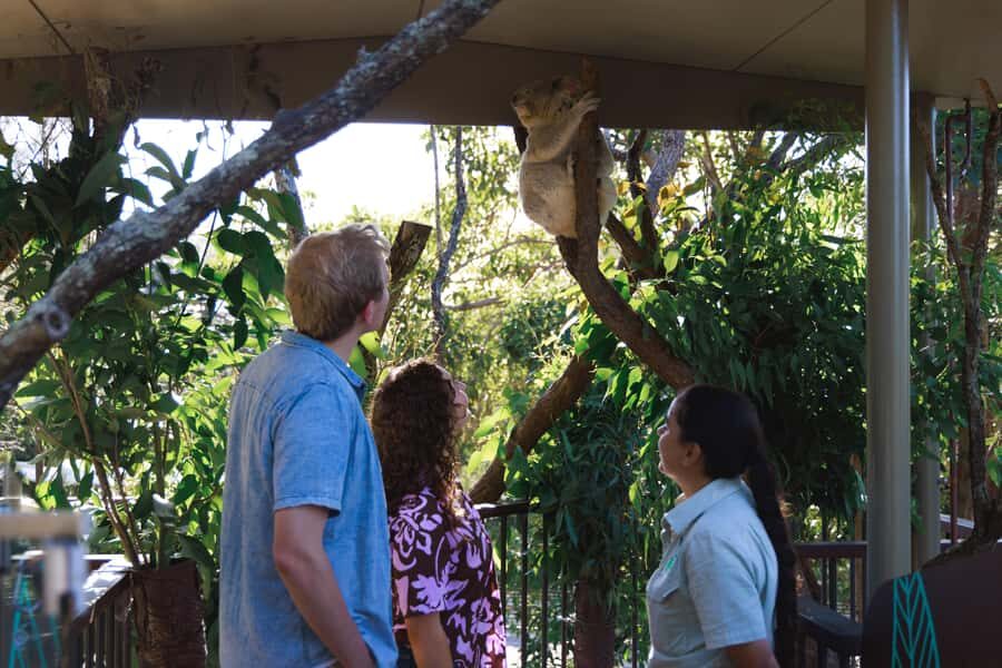 Taronga Zoo Sydney Wild Australia Experience - Key takeaways