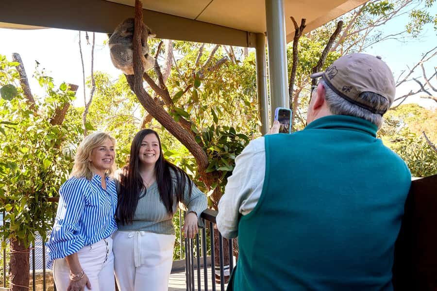 Taronga Zoo Sydney Wild Australia Experience - Koala Encounter: what makes it personal, not just a photo stop