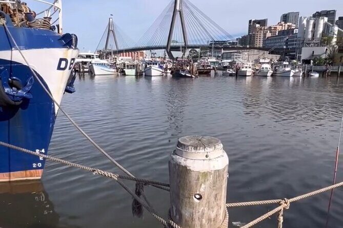 Taste of Sydney Tour (mini coach) - Sydney Fish Market: seafood, structure, and a reverse auction moment