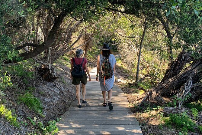 The Top Ten Hidden Harbour Beaches Tour with Jen - How much walking is this, really?