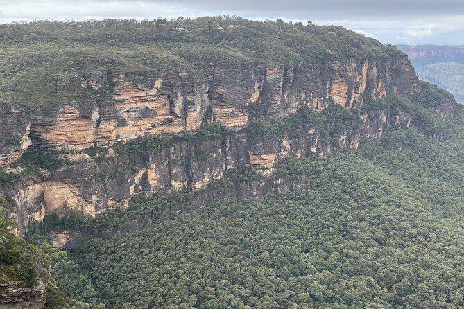 Ultimate All Inclusive Blue Mountains with Scenic World Tour - Sydney Zoo: kangaroos, the up-close Koala digital photo, and realistic expectations