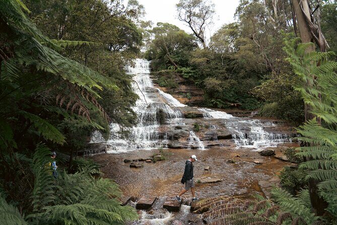 Ultimate All Inclusive Blue Mountains with Scenic World Tour - Back to the city by ferry: Sydney Harbour to Circular Quay