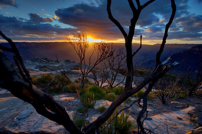Ultimate Blue Mountains and Wildlife Tour - Key points at a glance