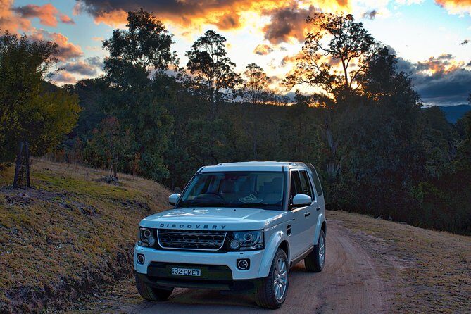 Ultimate Blue Mountains and Wildlife Tour - Getting out of Sydney: pickup + a small-vehicle day