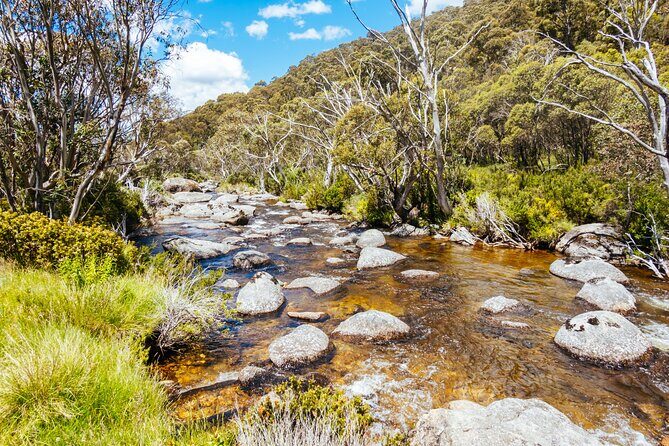 Ultimate Blue Mountains and Wildlife Tour - What’s included, what’s not, and what to pack