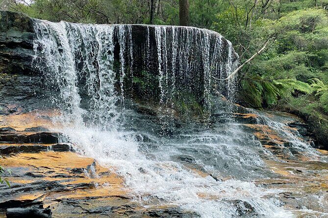 Ultimate Blue Mountains Private Tour with Scenic World and Wildlife Park - Featherdale Wildlife Park: koalas, kangaroos, and up-close Australian animals