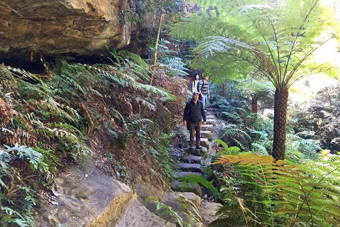 Ultimate Blue Mountains Private Tour with Scenic World and Wildlife Park - Leura lunch and the Leura Mall break
