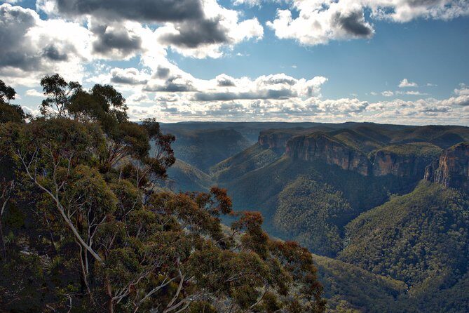 Unforgettable Blue Mountains Day Tour - Weather, fitness, and comfort: who this day tour suits best