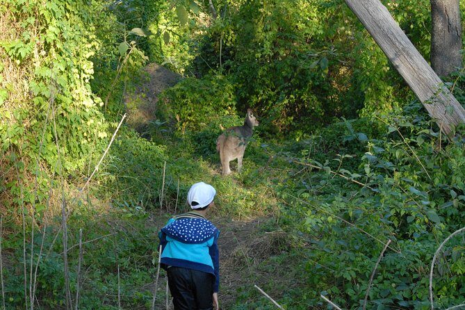 Walking with Wild Kangaroos Private Half-Day Trip from Sydney - The bird-and-animal bonus that stretches the value of your time