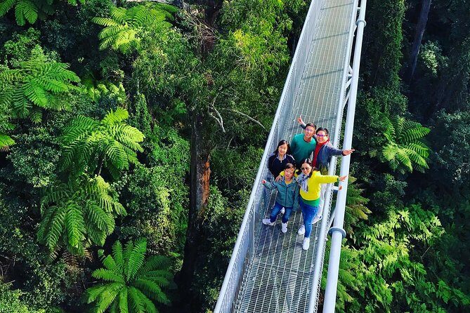 Waves Waterfalls and Wineries Full-Day Southern Highlands Private Tour - Georgian-Era Towns, Lunch at a Boutique Winery, and Tastings