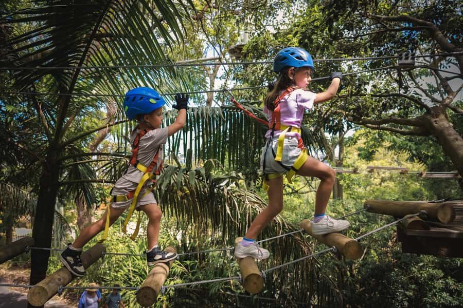 Western Sydney: Junior Tree Ropes Courses - Entering Treetops Adventure: What Happens Before Kids Climb