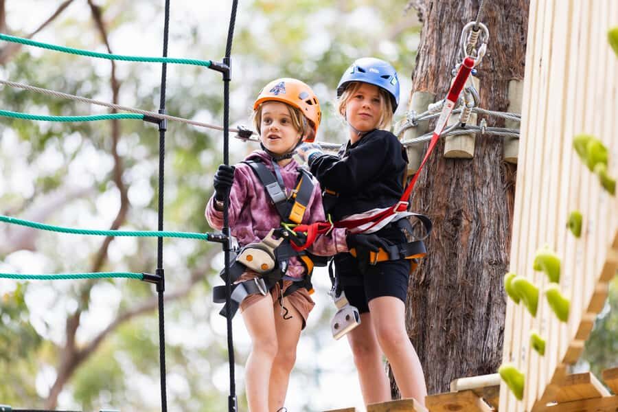 Western Sydney: Junior Tree Ropes Courses - The Four Junior Tree Ropes Courses: Built for Ages 3–7