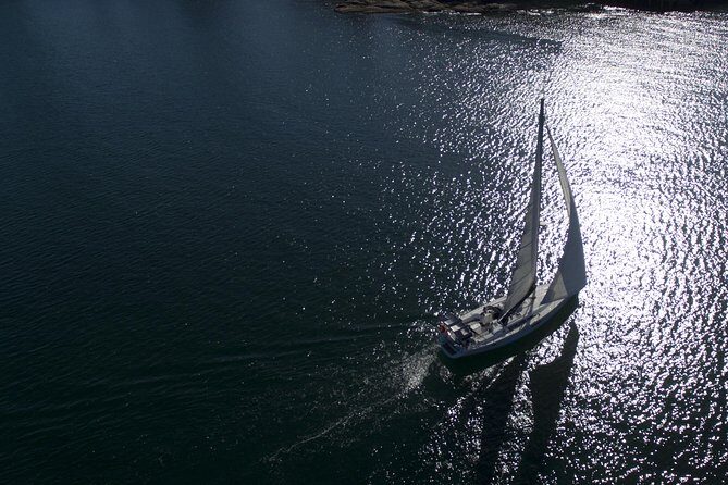Whale Watching Sailing Experience in Sydney - Price and value: is $71.01 per person worth it?