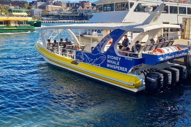 Whale Watching Sydney - Key things I’d focus on before you book