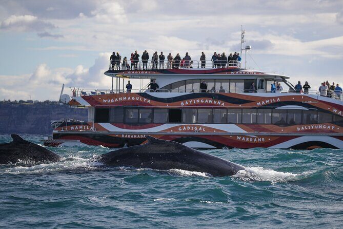 Whale Watching Sydney 2-Hour Express Cruise - Weather, comfort, and cancellations when the sea isn’t friendly