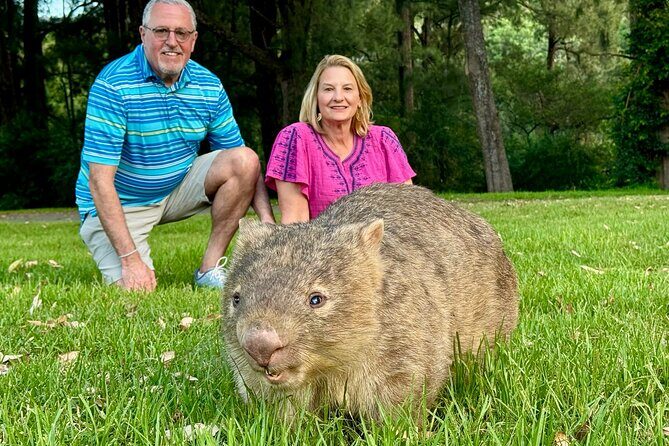 WILD Wombat and Kangaroo Day Tour, All Inclusive - Key Things That Make This Tour Worth It