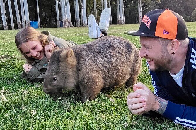 WILD Wombat and Kangaroo Day Tour, All Inclusive - How The Day Flows From Sydney To The Bush (And Why It Works)