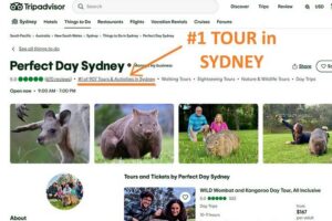 WILD Wombat and Kangaroo Day Tour, All Inclusive - Sublime Point Lookout And Macquarie Pass: The Scenic Warm-Up
