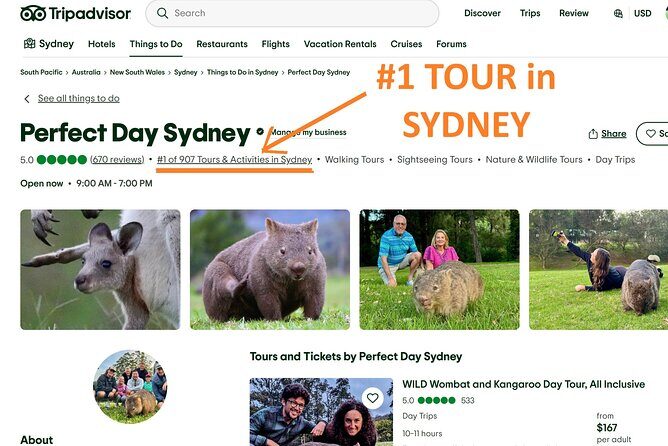 WILD Wombat and Kangaroo Day Tour, All Inclusive - Sublime Point Lookout And Macquarie Pass: The Scenic Warm-Up
