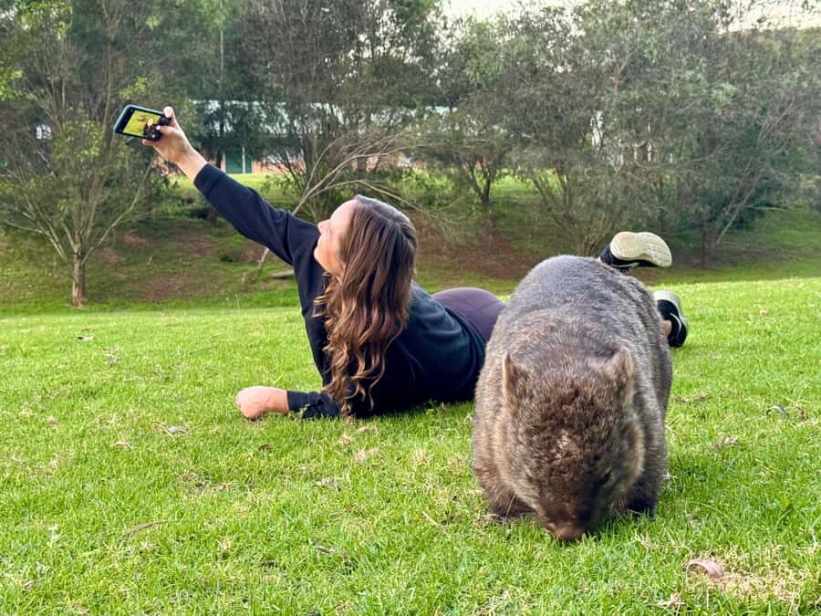 WILD Wombats and Kangaroo Experience, All Inclusive, Sydney - Key Things I’d Focus On