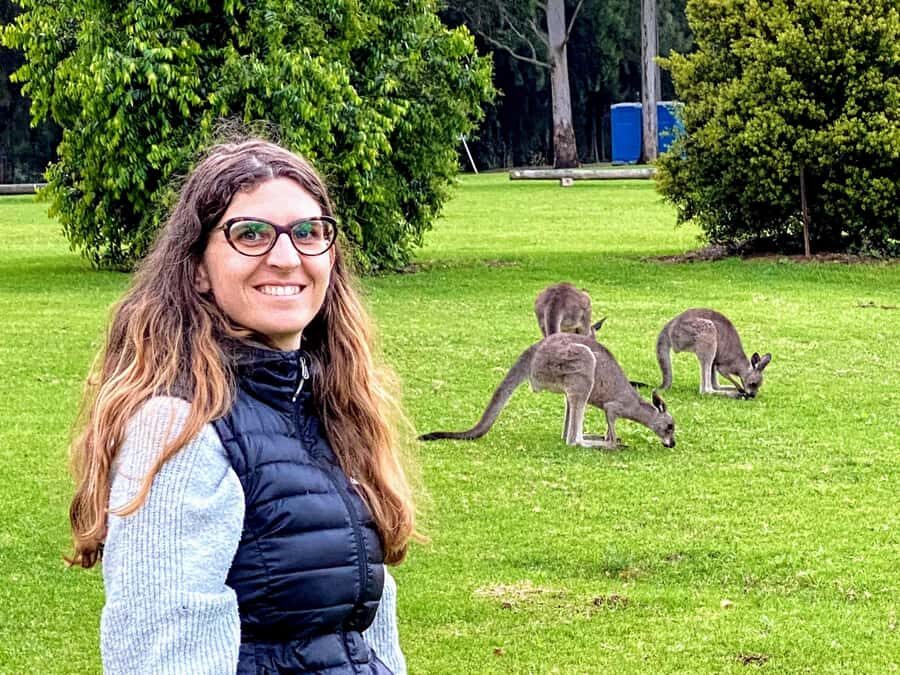 WILD Wombats and Kangaroo Experience, All Inclusive, Sydney - Wild Wombats and Kangaroos in Real Habitat, Not a Fence-and-Feed Pit