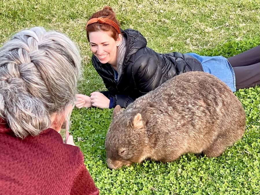 WILD Wombats and Kangaroo Experience, All Inclusive, Sydney - Macquarie Pass National Park: A Scenic Drive That Sets the Tone