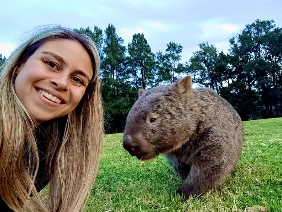 WILD Wombats and Kangaroo Experience, All Inclusive, Sydney - Robertson Pie Shop Lunch (Seasonal): The Aussie Fuel Stop