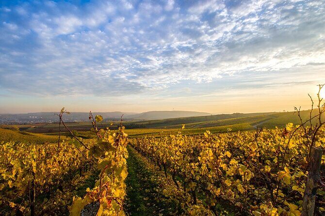 Wine Tours Sydney - Southern Highlands Day Escape, Full Day Wine Tasting Tour - Key things to know before you go