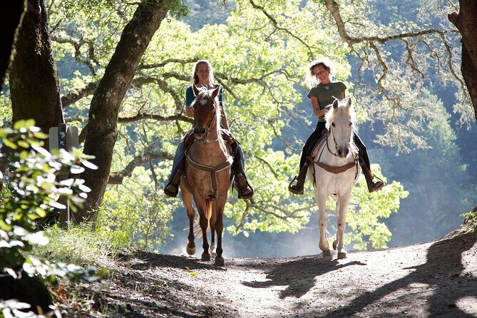 Wine Tours Sydney - Southern Highlands Day Escape, Full Day Wine Tasting Tour - Stop 3: Bendooley Estate Book Barn and the post-lunch finish