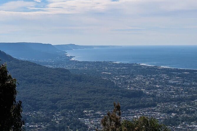 Wombat and Kangaroo Wildlife Tour from Sydney - Key things that make this tour worth your time
