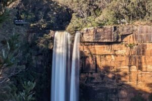 Wombat and Kangaroo Wildlife Tour from Sydney - Central Station Pick-Up and the Pace You Should Expect