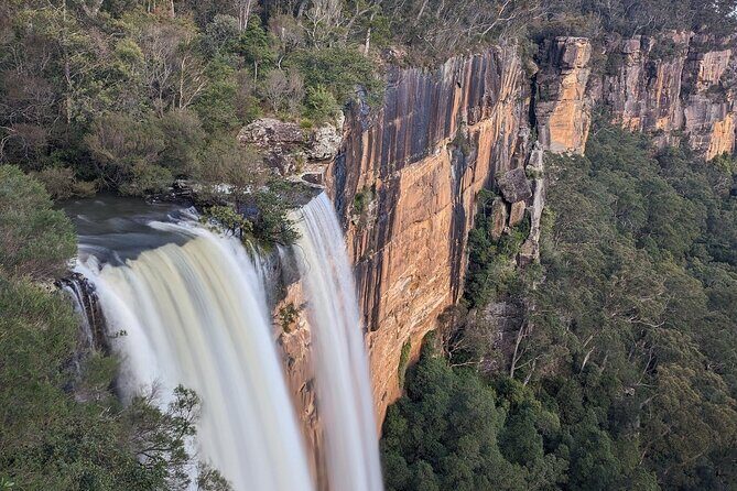 Wombat and Kangaroo Wildlife Tour from Sydney - Kangaroo Valley: Where the Wombats and Kangaroos Time Happens